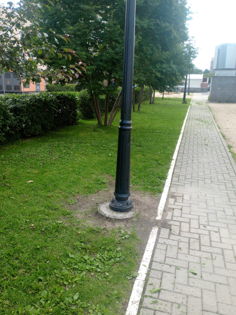 WhatsApp Image 2025-06-30 at 15.52.55.jpeg